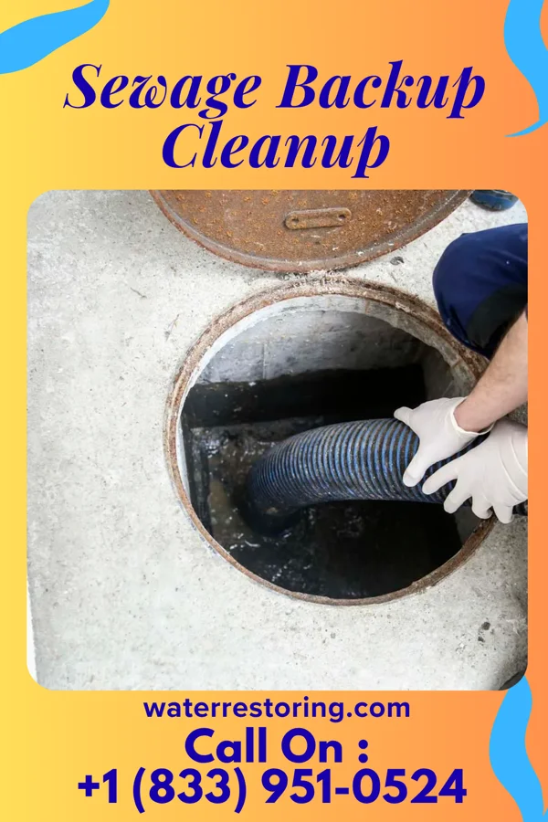 Sewage Backup Cleanup in Fort Atkinson, IA